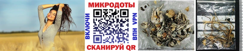 Псилоцибиновые грибы MAGIC MUSHROOMS  Купить где  Полтавская 